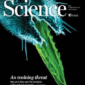 Nora Besansky-led studies featured on the cover of Science