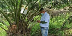 Digital Agriculture: Ecuador 