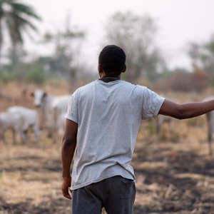 New Faculty Publication Reviews Studies on Conflicts Between Sub-Saharan African Farmers and Herders