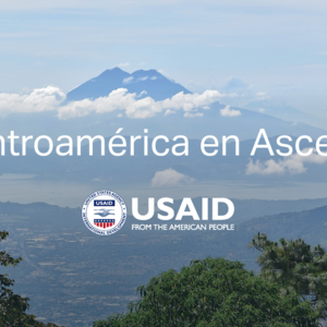 Institute of International Education Partners with Notre Dame in New USAID Program for  Central American Human Rights Defenders